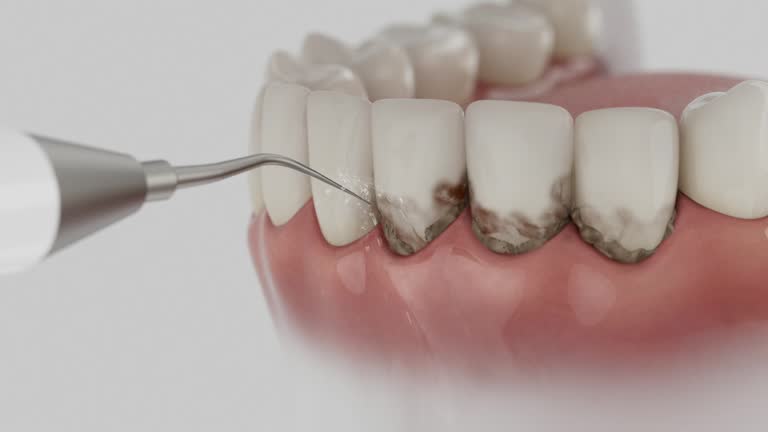 Reliable Dental contractor in Ocean City, FL by Dentist Open Now